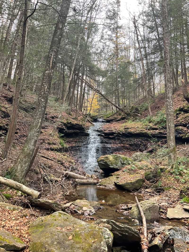 A Historic District Frozen in Early 1900s Resort Charm