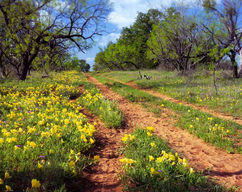 The Llano River: Clear, Calm, and Crowdfree