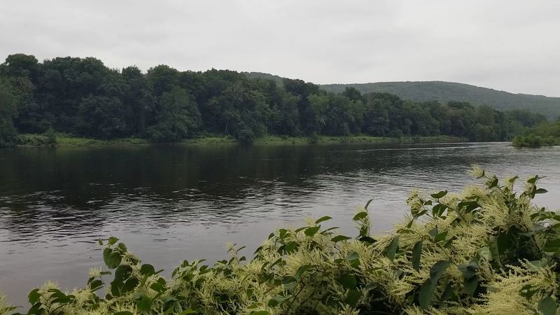 A Natural Haven For Wildlife