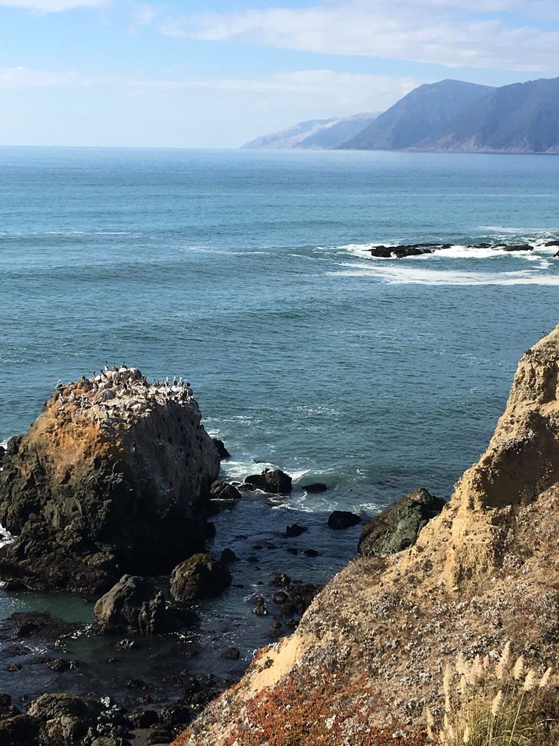 Perfect Base For Exploring King Range National Conservation Area's Rugged Wilderness