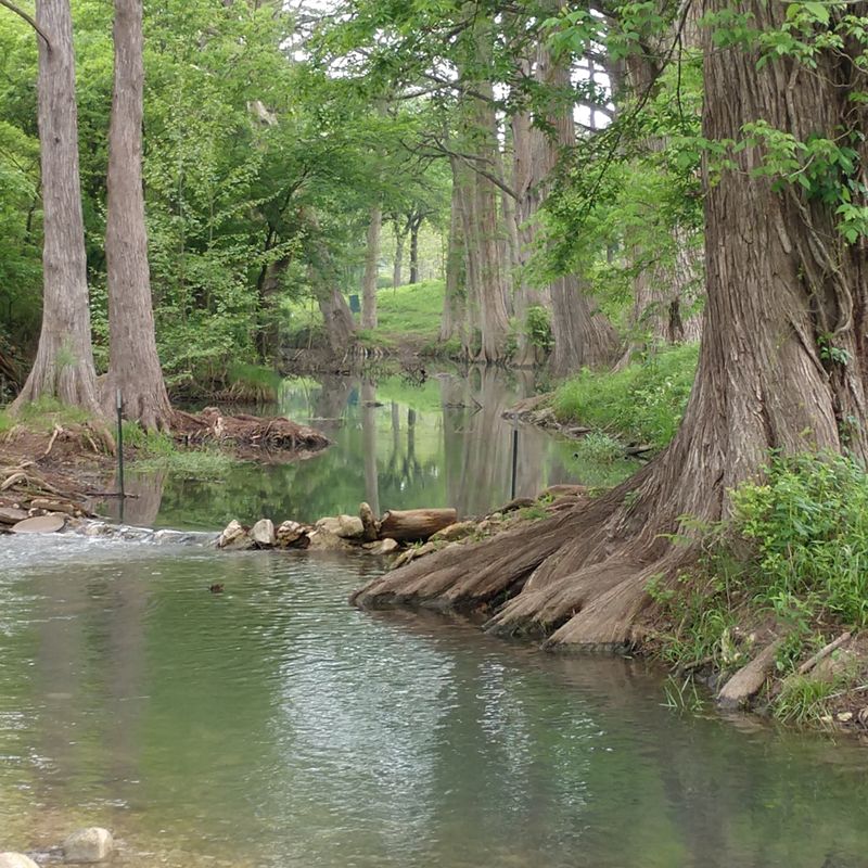 Cypress-Lined Rivers And Scenic Drives All Around Town