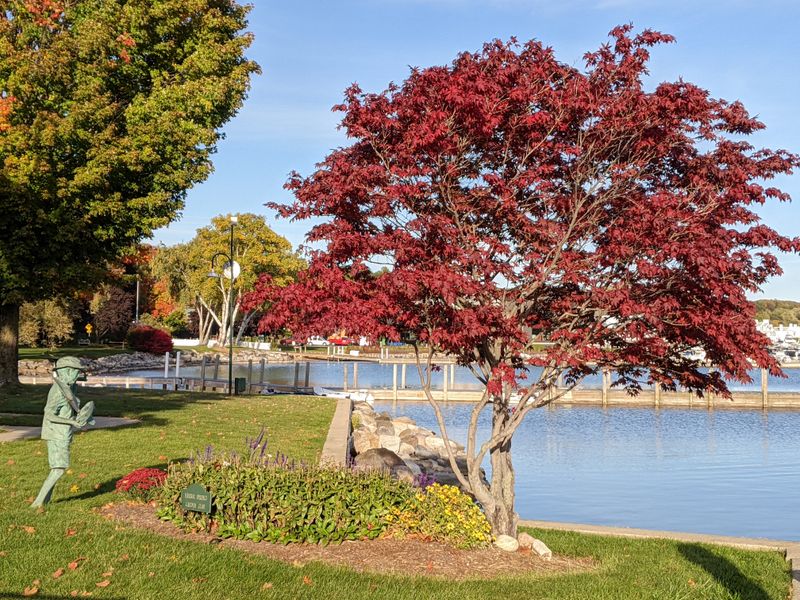 Home To The Iconic Tunnel Of Trees—One Of America's Most Scenic Drives