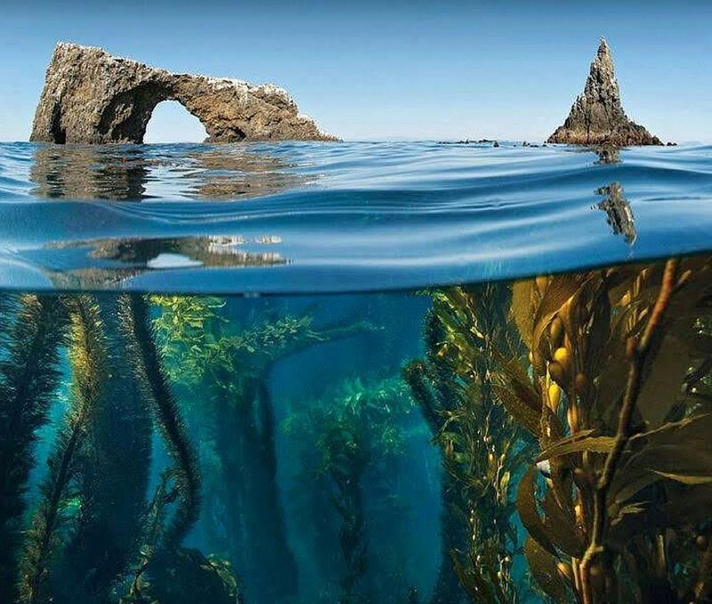 Channel Islands National Park