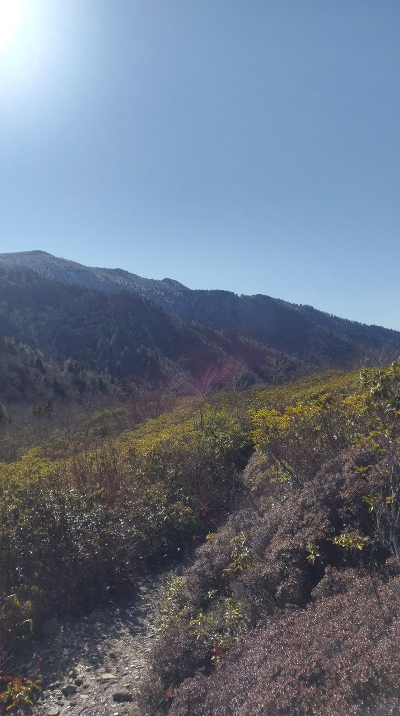 Brushy Mountain Trail (Greenbrier/Roaring Fork Area)