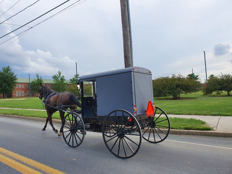 Buggy Sightings And Backroads: The Slow-Travel Moments People Remember