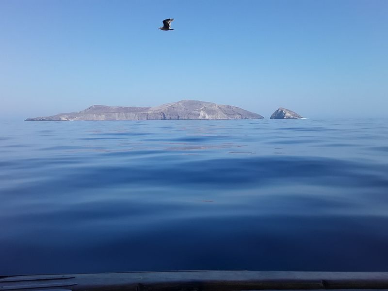 Santa Barbara Island