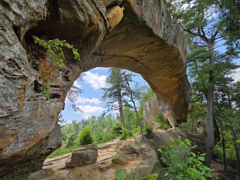 Twin Arches Trail + Twin Arches Loop