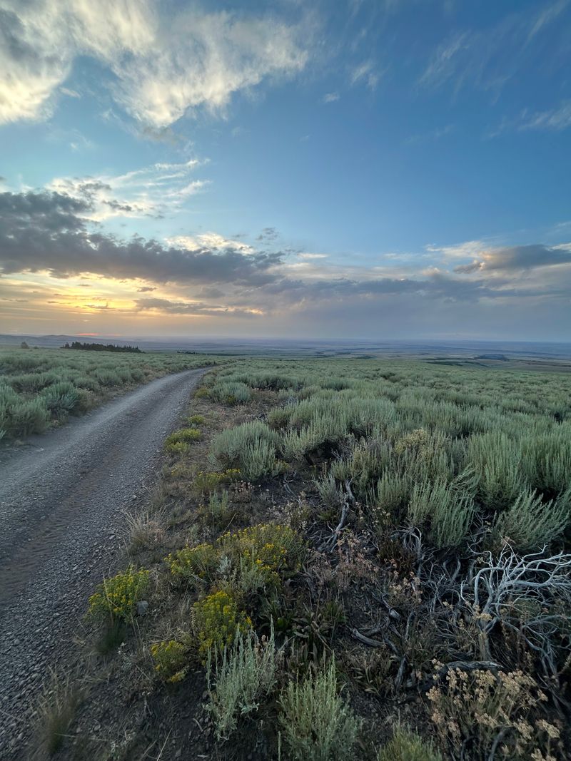 Jarbidge Wilderness Area