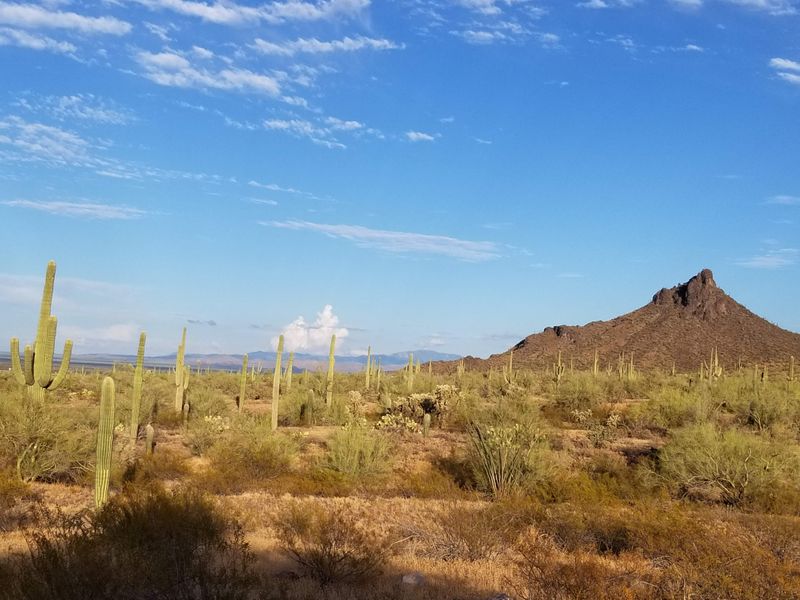 Phoenix To Picacho Peak Desert Drive