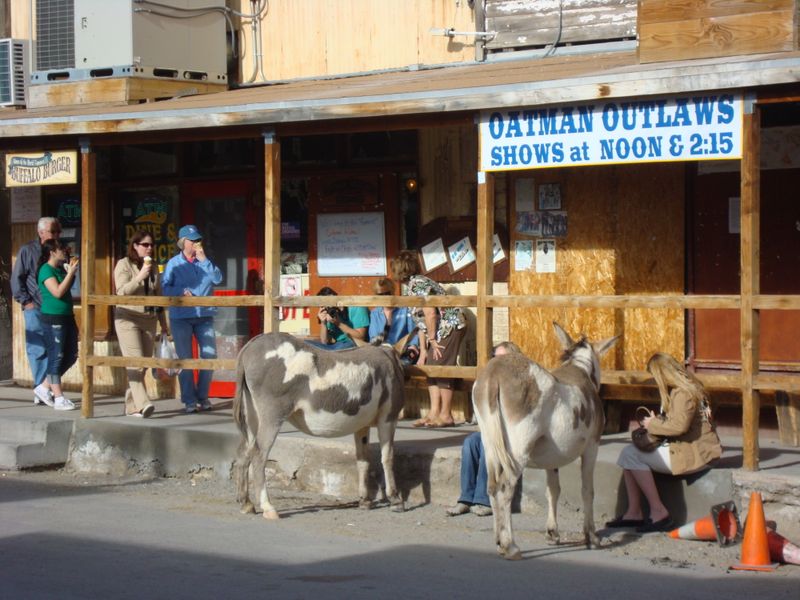 Oatman (Oatman)
