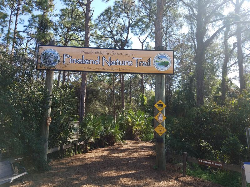 Busch Wildlife Sanctuary (Jupiter)