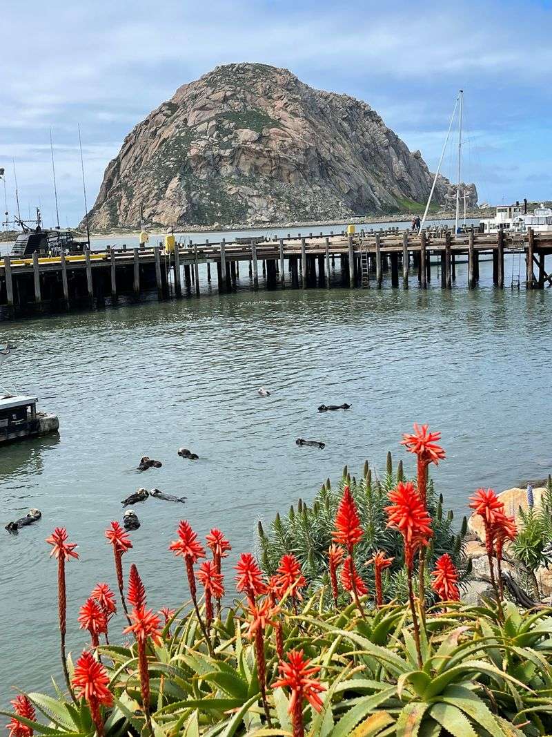 Morro Bay