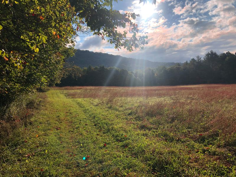 Pittsford Town Trails (Pittsford)