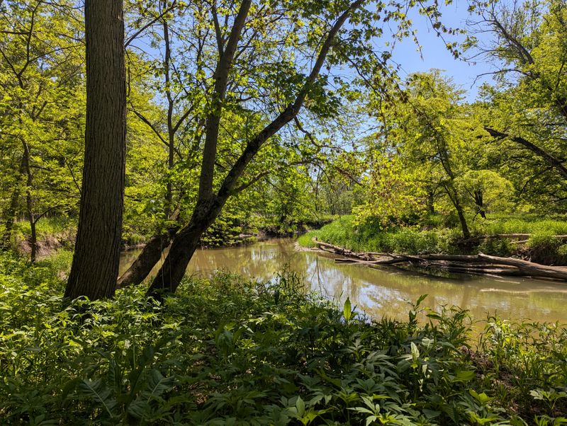Middle Fork River Forest Preserve