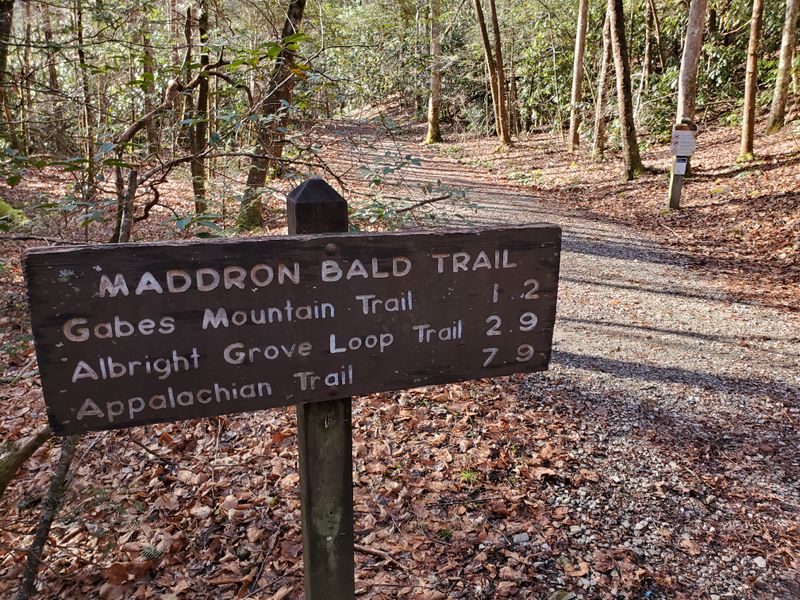 Albright Grove Loop Via Maddron Bald Trail (Cosby Area)