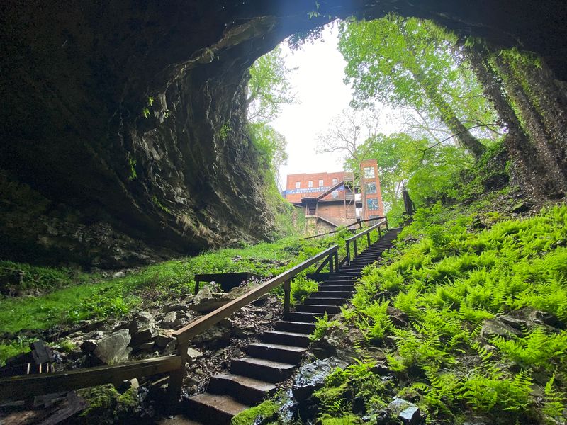 Hidden River Cave & American Cave Museum (Horse Cave)