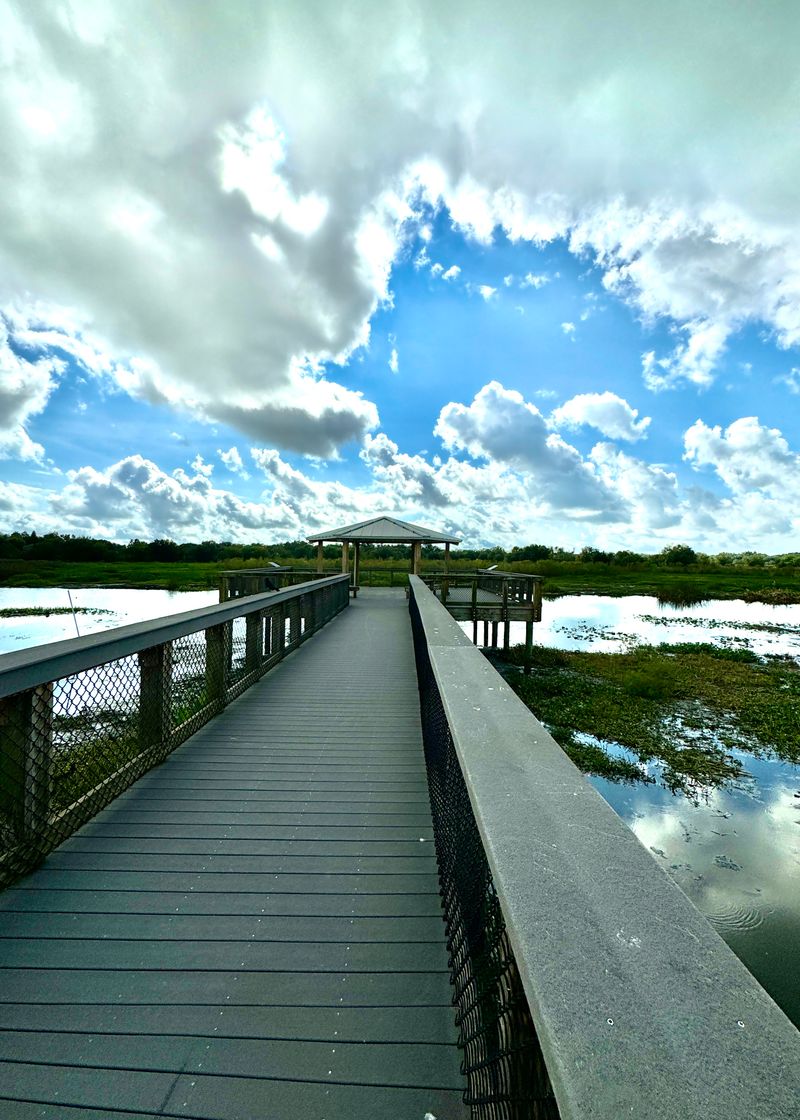 Celery Fields (Sarasota)