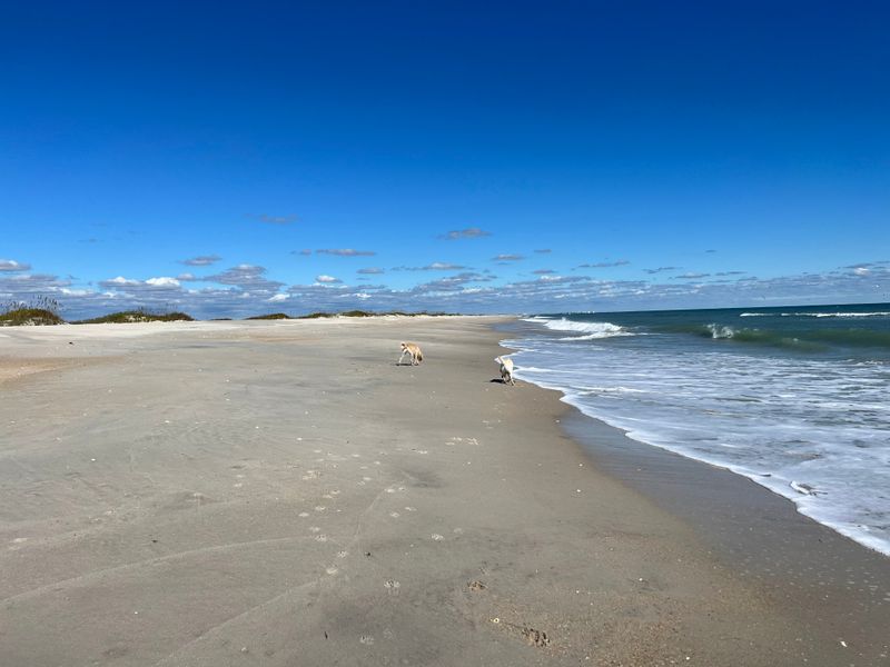 Masonboro Island Reserve (near Wrightsville Beach, Wilmington)