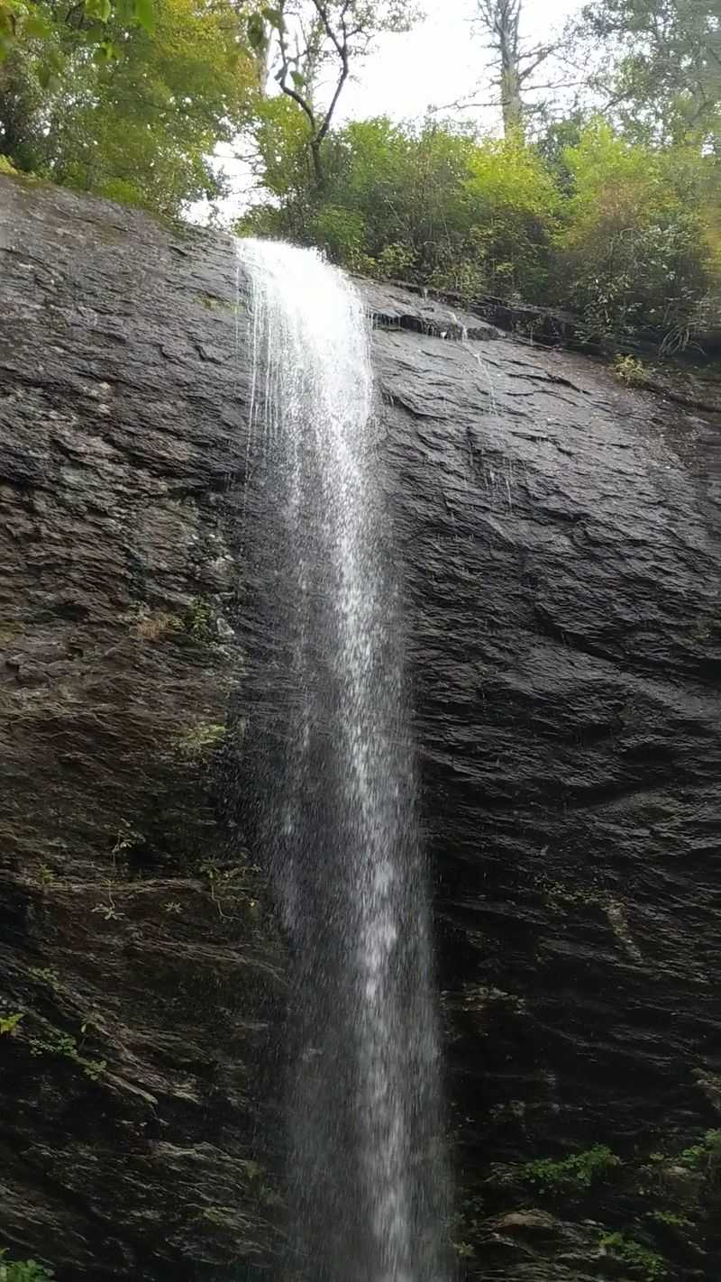 Douglas Falls Trail (Asheville)