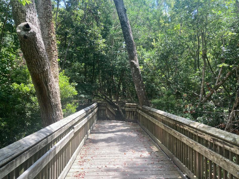 Emerald Isle Woods Park: Nature Trails Just Steps From Salt Water