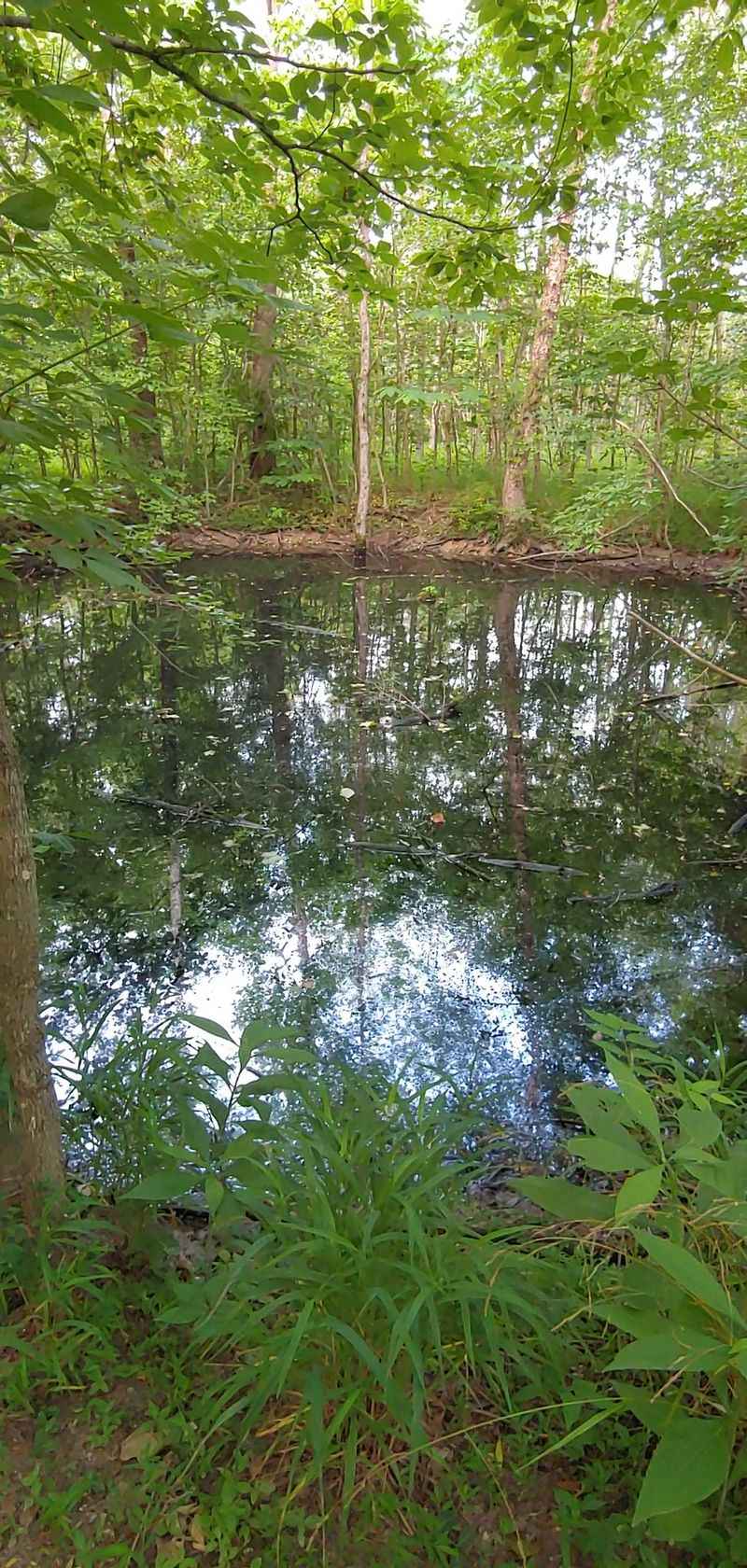 Chautauqua Bottoms Nature Preserve (Carbondale)