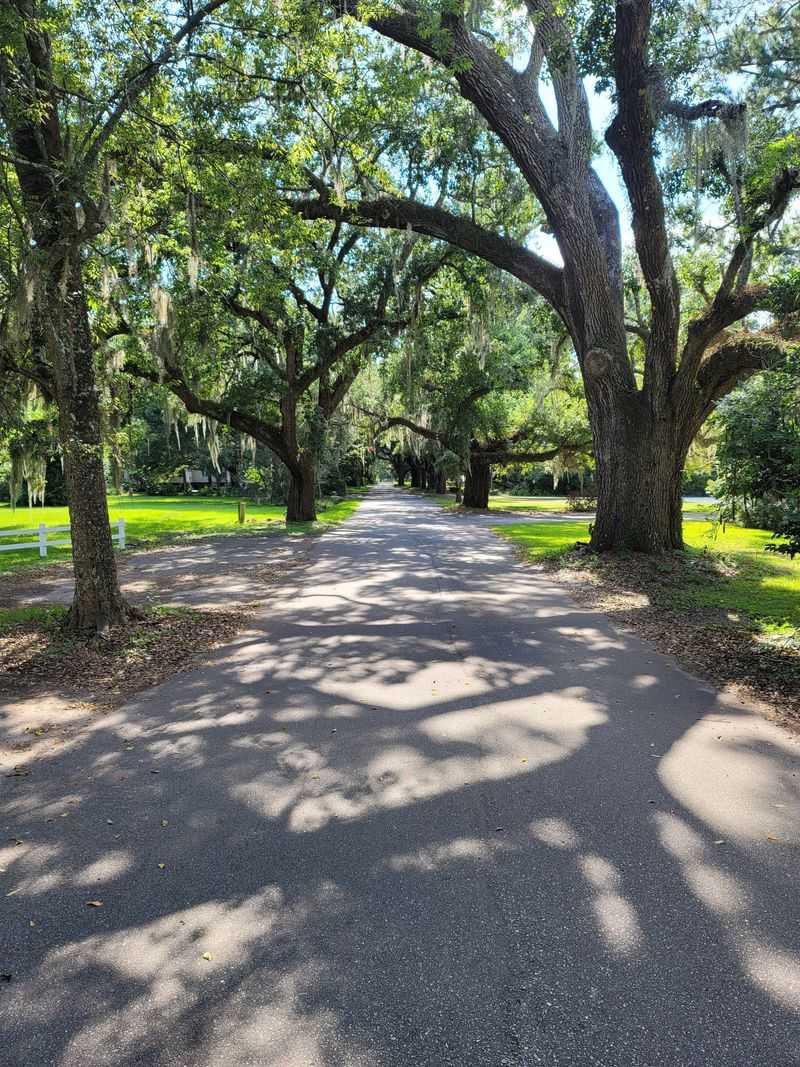 A Strollable Historic District Under Live Oaks