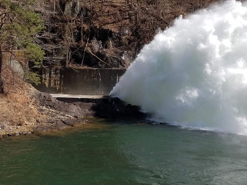 Water And Wind At The Marina