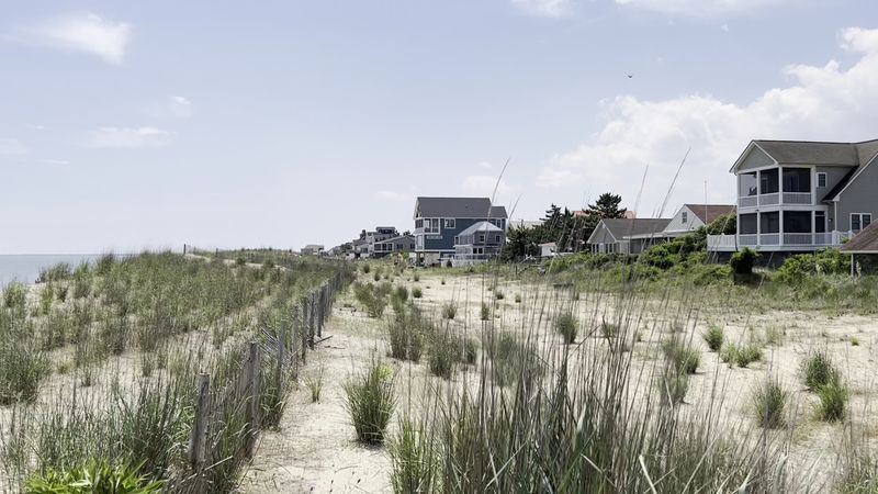 The Beach Is Known For Shelling, Not Surfing