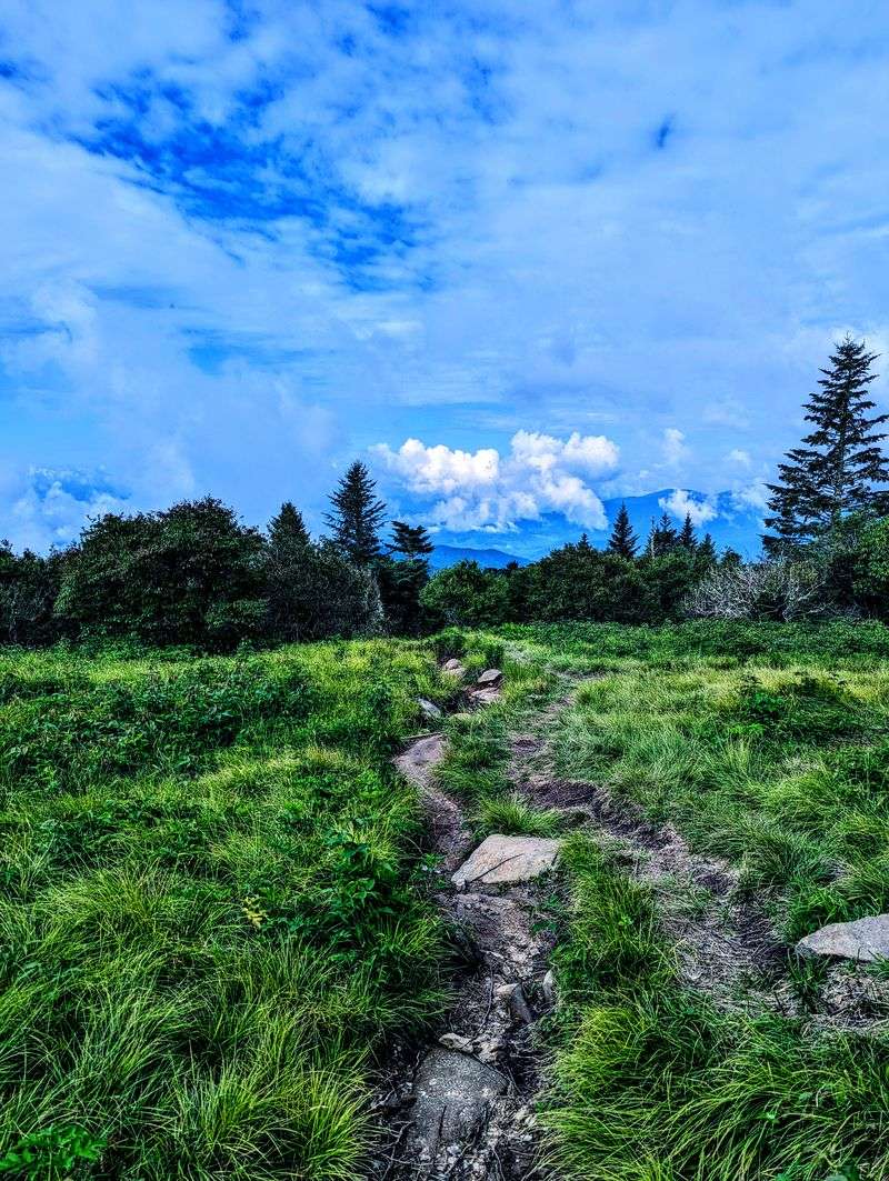 Andrews Bald Via Forney Ridge Trail (Clingmans Dome Area)