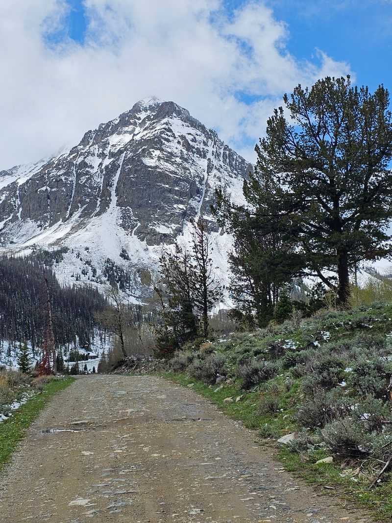 Dana No. 1 Mine site