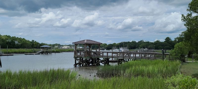 Boneyard Beach's Driftwood Silence