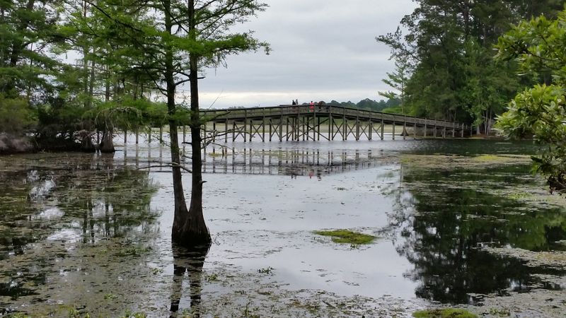 Martin Dies, Jr. State Park