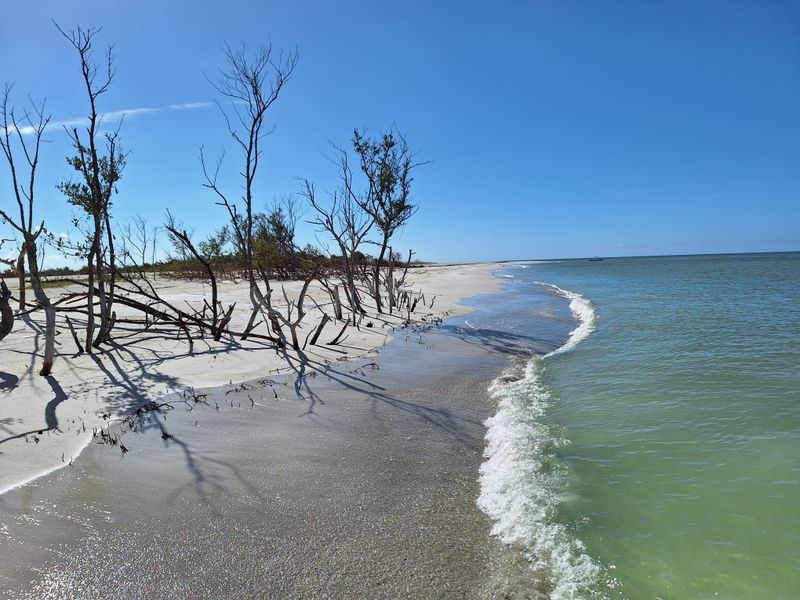 Cayo Costa State Park (Near Cape Coral / Boca Grande)