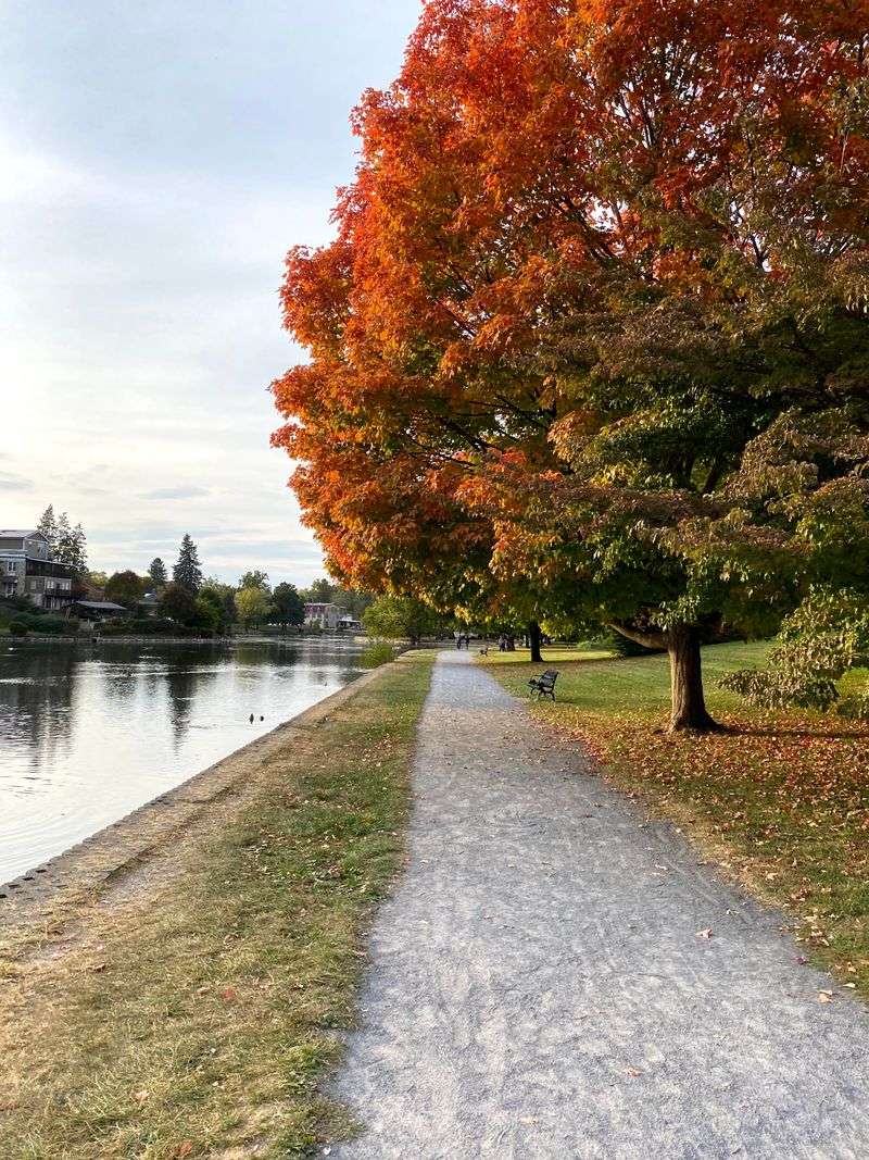 Walkable Countryside Retreat With Storybook Views