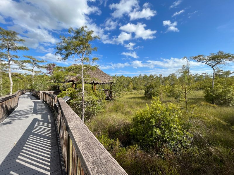 Kirby Storter Boardwalk