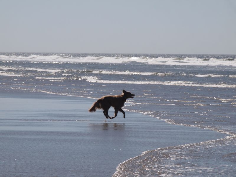 Manzanita, Oregon, OR 97130
