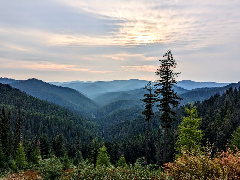 Idaho Panhandle National Forests