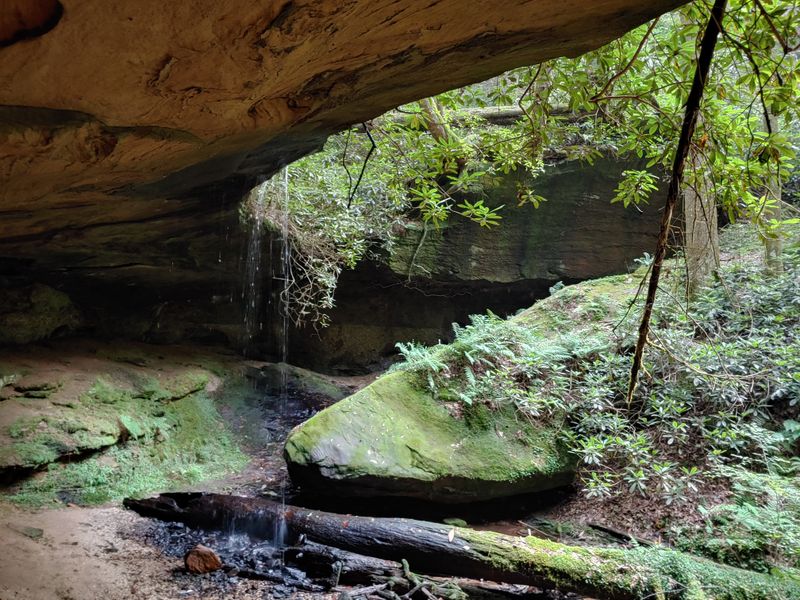 Swift Camp Creek Trail