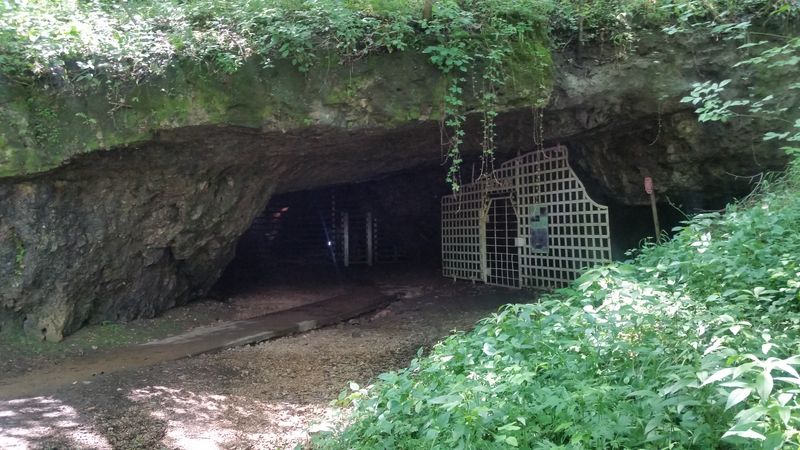 Fisher Cave Tours (Sullivan)