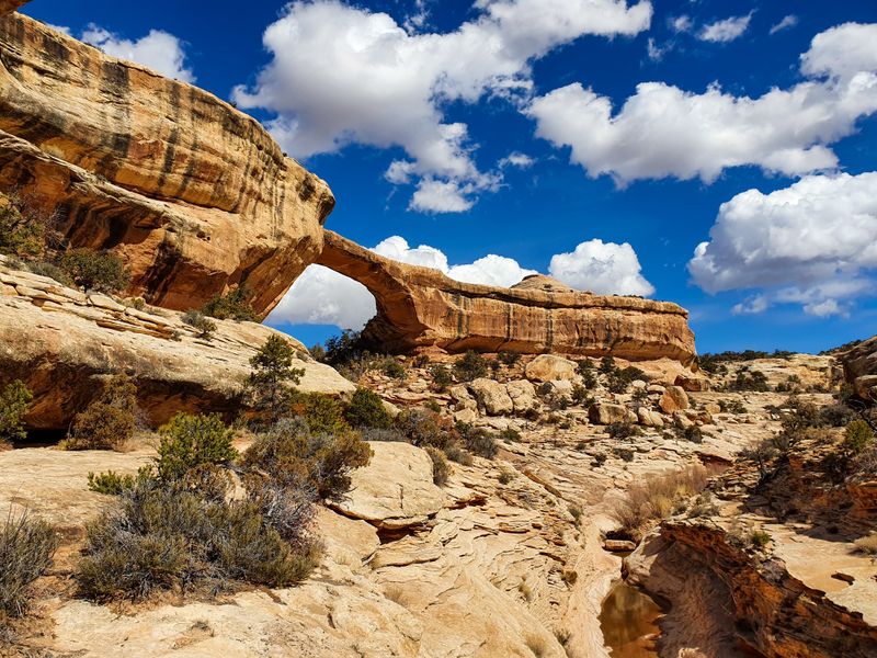 Natural Bridges National Monument