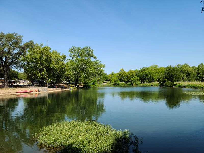 Cypress Creek: A Shaded, Glassy Stream Locals Use as Their Backyard Retreat