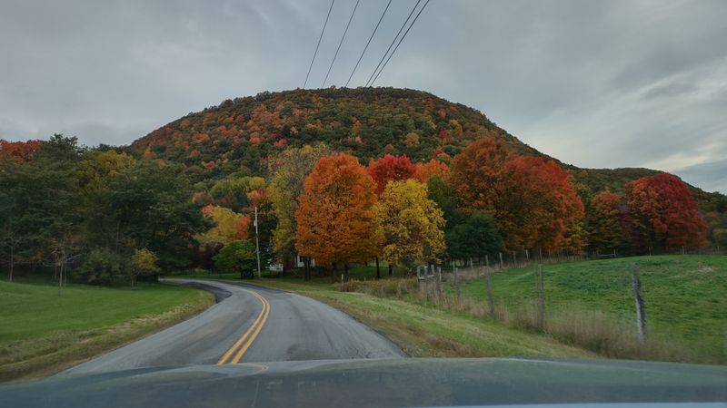 Escape The Noise: Why Naples Offers A Peaceful Alternative To City Life