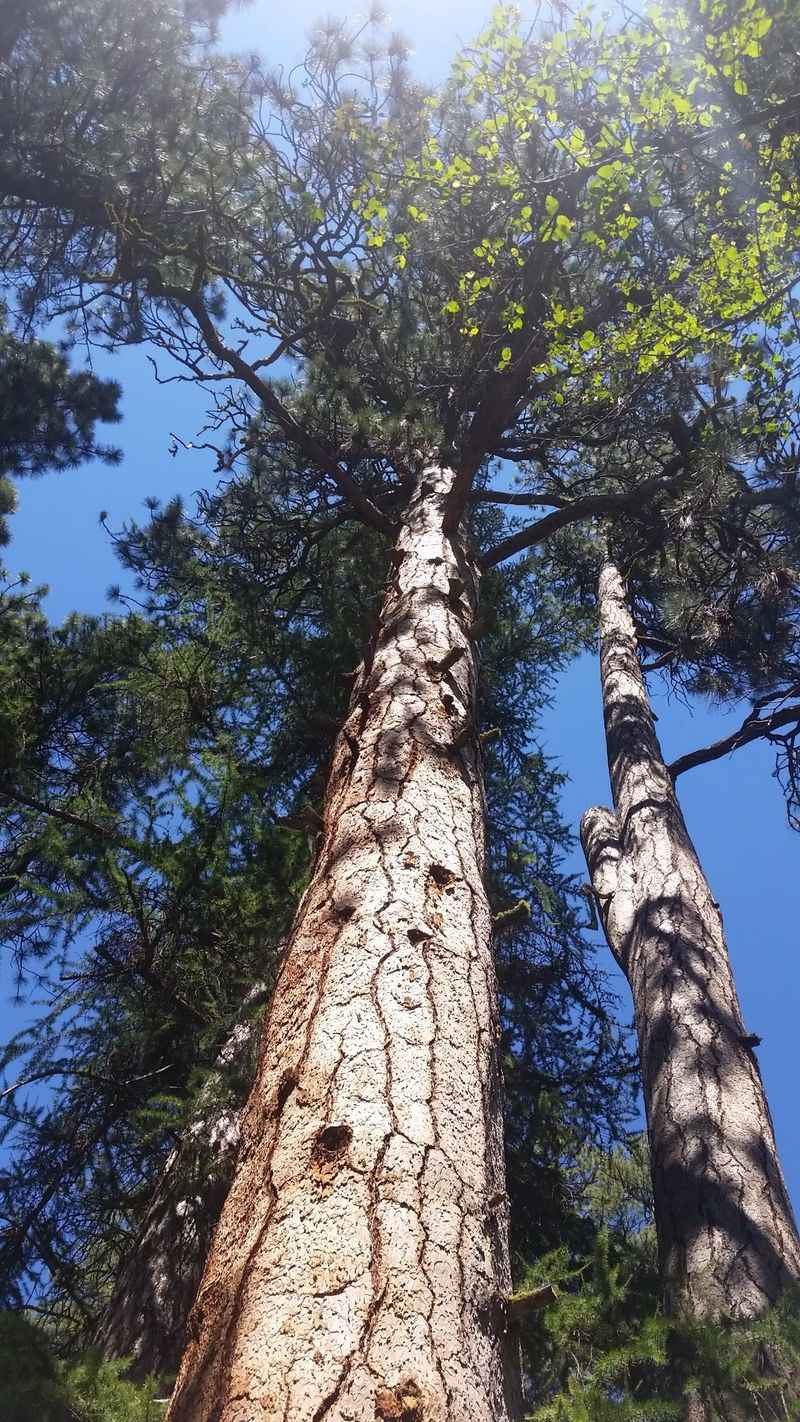 A Peaceful Alternative To Crowded Central Oregon Destinations