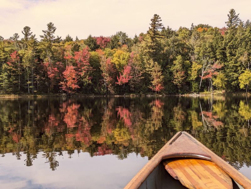 Floodwood State Frest