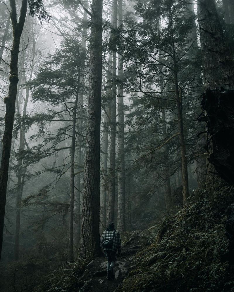 The Steep Shortcut Story