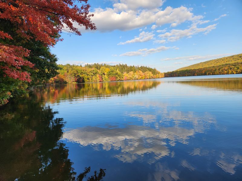 Trails, Parks, and Lakes Drawing Outdoor Lovers Quietly