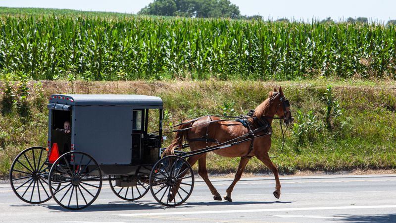 Amish Country Up Close: Tours That Teach Without Feeling Touristy