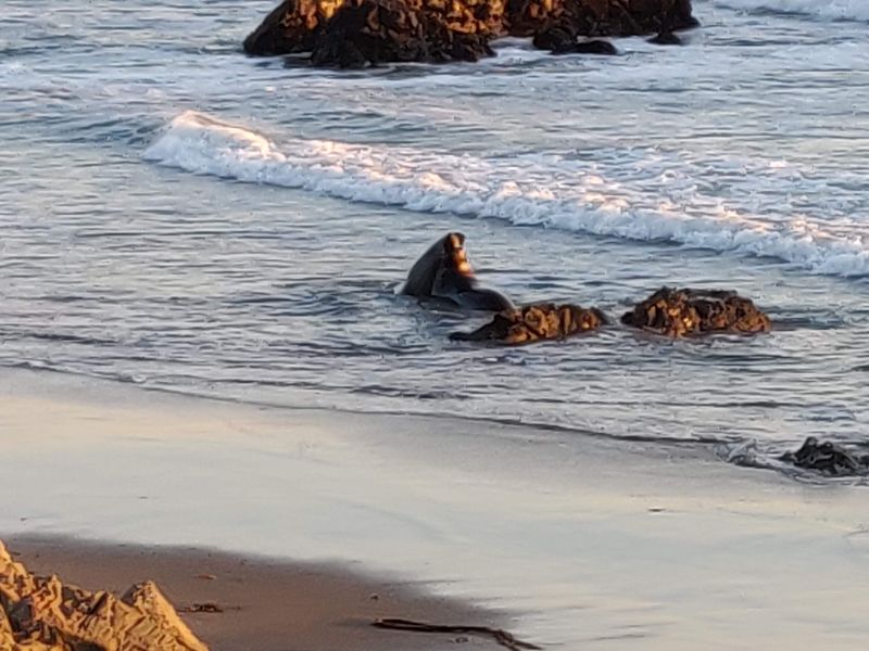 Wildlife Encounters Happen Naturally, Not On A Schedule