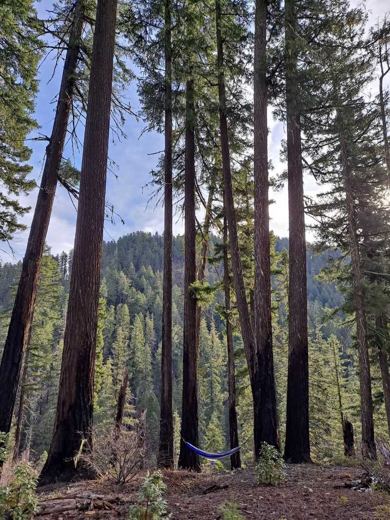 Boulder Creek Wilderness