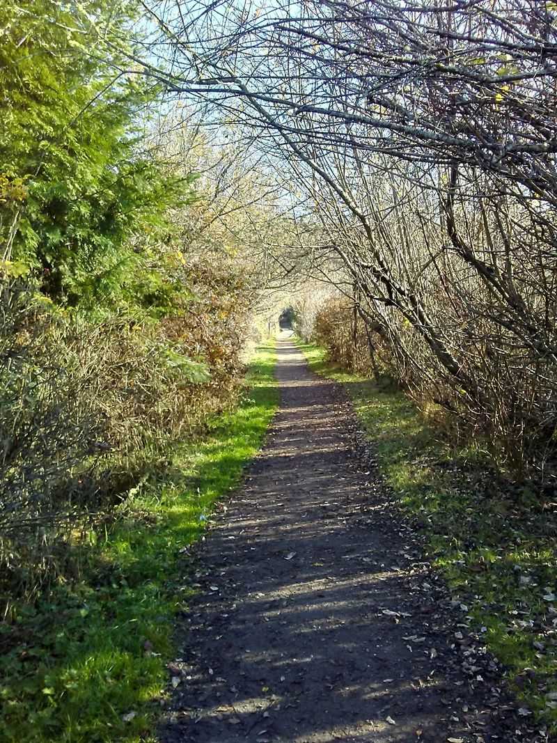 Clear Creek Trail (Silverdale)